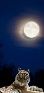 Tiger resting under a bright full moon in a dark blue night sky.