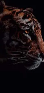 Majestic tiger on black background with inspiring text.