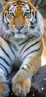 Majestic tiger resting on a rock in the forest, bright and vivid colors.