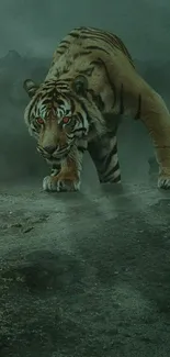 Majestic tiger prowling through a misty green forest.