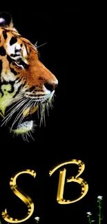 Majestic tiger in a jungle setting with dark background.