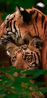 Majestic tigers in lush green jungle scene.