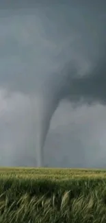 Mobile wallpaper of a striking tornado with swirling dark clouds over a field.