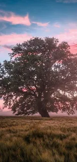 Majestic tree under a pink sunset sky in a grassy field.