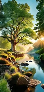 Majestic tree beside a tranquil river, bathed in sunlight.