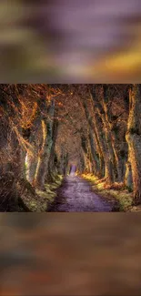 Tree-lined path in a serene forest setting