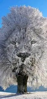 Frost-covered tree shaped like a lion against a clear blue sky.