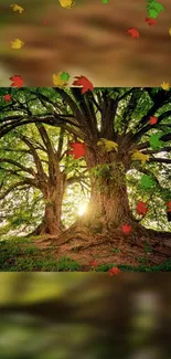 Majestic trees with falling autumn leaves illuminated by sunlight.