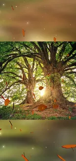 Majestic trees illuminated by sunlight with vibrant leaves.