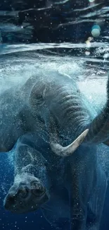 Elephant swimming underwater in deep blue waters.