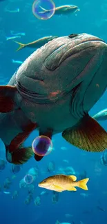 Large fish swimming underwater with bubbles and smaller fish.