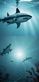 A dramatic underwater scene with sharks swimming in the deep blue ocean.