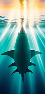 Shark swimming towards sunlight underwater with teal and gold hues.