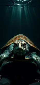 Majestic turtle swimming underwater with beams of light filtering through the ocean.