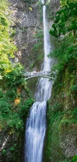 Waterfall cascading beneath a bridge surrounded by lush green foliage.