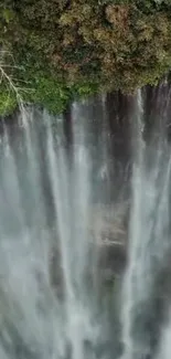 Majestic waterfall cascading over rocks surrounded by lush greenery.