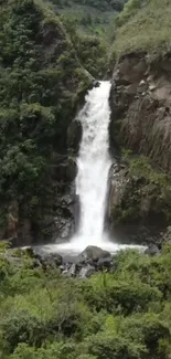 A waterfall cascades down a rocky cliff surrounded by lush green vegetation.