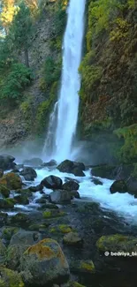 A cascading waterfall in a lush forest setting with rocks and greenery.