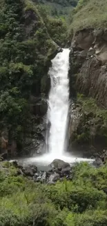 Majestic waterfall amidst lush greenery