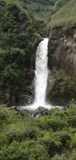 Waterfall in a lush green forest landscape mobile wallpaper.