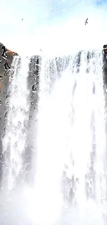 Person looking at a majestic waterfall with birds in the sky.