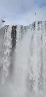 Majestic waterfall cascading with birds in serene sky.