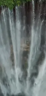 A stunning vertical waterfall cascading down lush greenery.