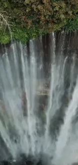 Majestic waterfall cascading amidst lush green forest backdrop.