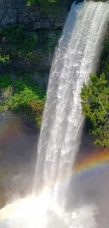 Majestic waterfall with vibrant rainbow over lush green backdrop.