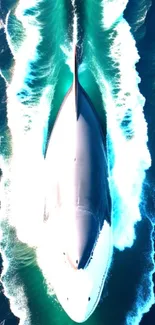 Aerial view of a whale swimming through teal ocean waves.