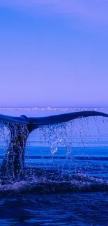 Blue whale tail diving in tranquil ocean wallpaper.