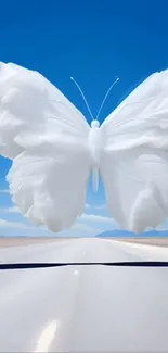 Majestic white butterfly with a blue sky.