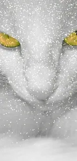 Close-up of a white cat with yellow eyes.