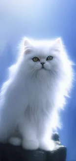 Majestic white cat on dreamy blue background wallpaper.