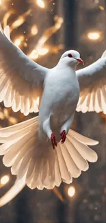 Majestic white dove in flight with golden glowing background.