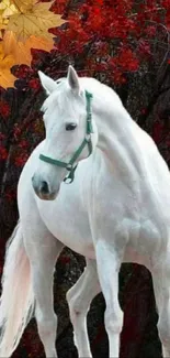 White horse in vibrant autumn setting with red leaves.