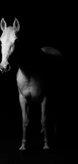 Black and white wallpaper of a white horse in shadow.