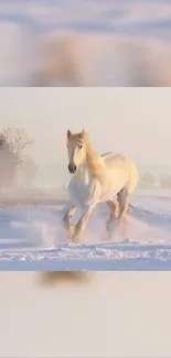 Majestic white horse galloping in snowy landscape phone wallpaper.