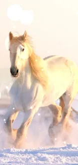 Majestic white horse galloping through a snowy landscape.