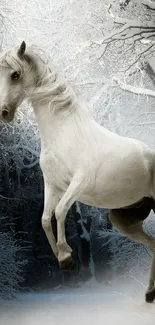 Majestic white horse in a snowy winter forest scene, perfect for wallpaper.