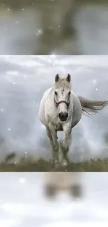 A majestic white horse running across a grassy field with a cloudy sky background.