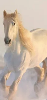 Majestic white horse running through snowy landscape.