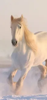 Majestic white horse galloping through snow in serene setting.