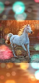 Majestic white horse galloping with vibrant bokeh lighting effect.