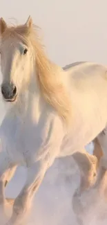 Majestic white horse galloping through snowy landscape.