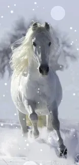 A majestic white horse galloping through a snowy landscape with soft blurred trees.