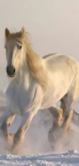 Majestic white horse galloping through snowy landscape in a serene wallpaper.