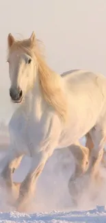 White horse galloping through snowy landscape.