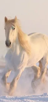 Majestic white horse gallops through snow in serene landscape.