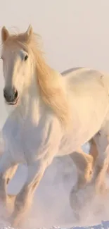 White horse galloping through snow, exuding elegance and freedom.